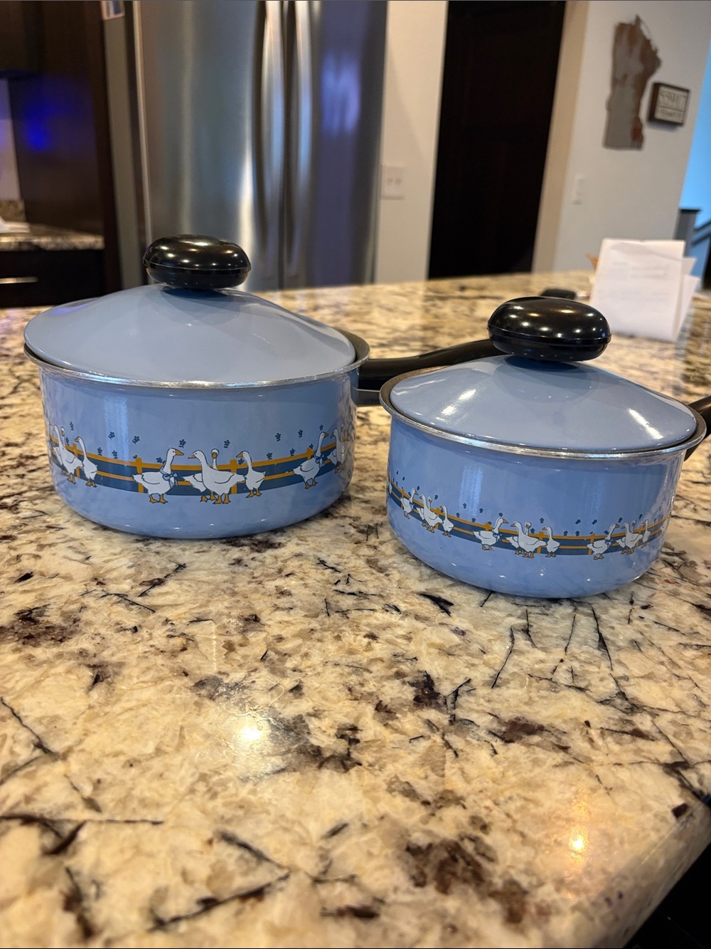 Vintage 1980s Meyer Cookware Blue Ribbon Country Goose Pot Set Great Condition